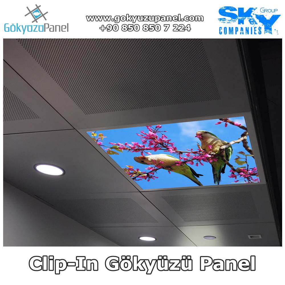 Clip-in Gökyüzü Panel