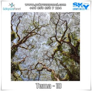 Ağaçlı Gökyüzü Tema - 10