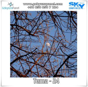 Ağaçlı Gökyüzü Tema - 24