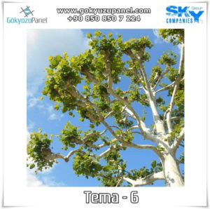 Ağaçlı Gökyüzü Tema - 6