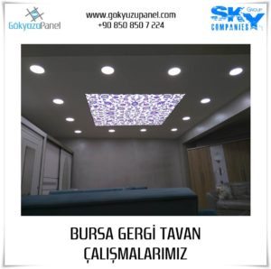 Bursa Gergi Tavan 1