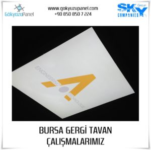 Bursa Gergi Tavan 2