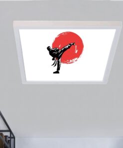 Sporkid, 60cmx60cm, 54 watt,led,en şık genç odası avize modelleri, sporkid genç odası lamba