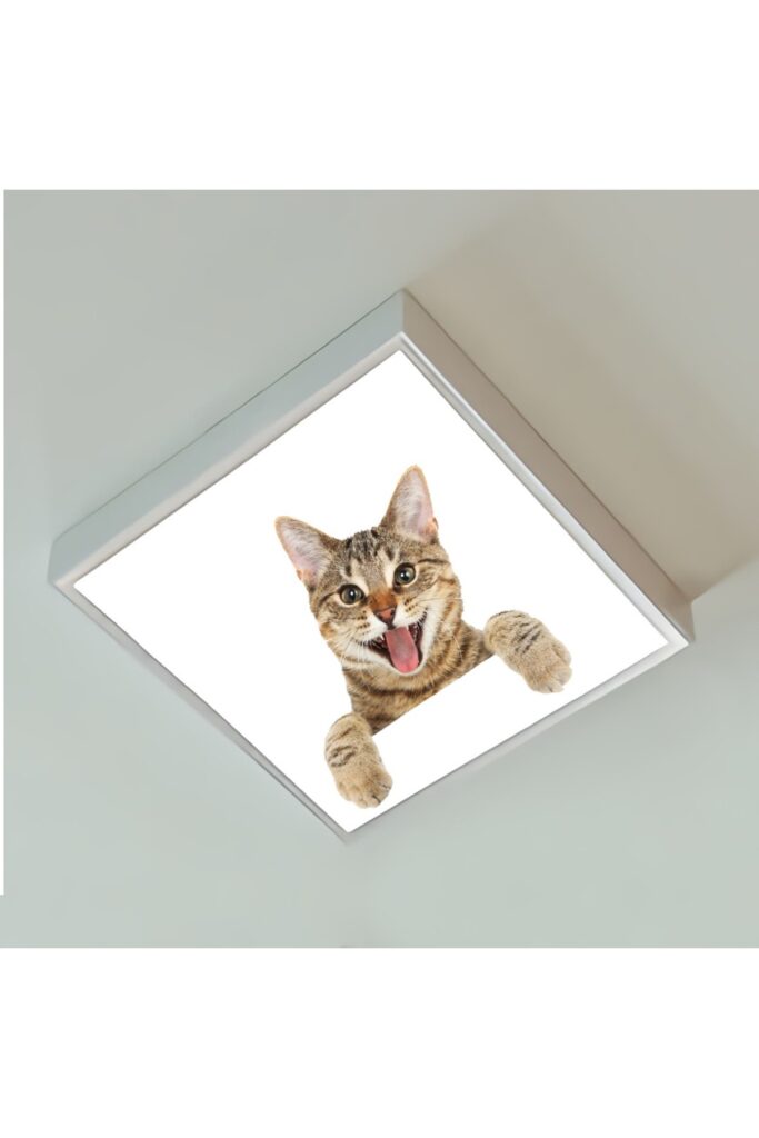 Kedicik 60x60 Çocuk odası avize modelleri, 54wat led, tavana model avize,çocuklar için kedicik avize