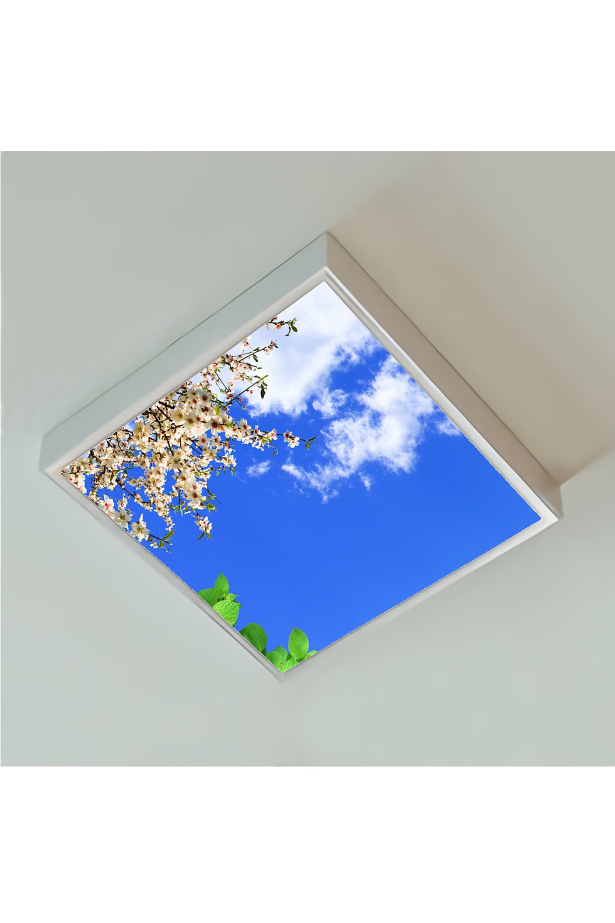 Erik Ağacı Çiçekli Gökyüzü Desenli Yatak Odası Avize, 60x60-54w, ebeveyn odası aydınlatma, yatak odası avize modelleri,yatak odası Ferah avize - Görsel 4
