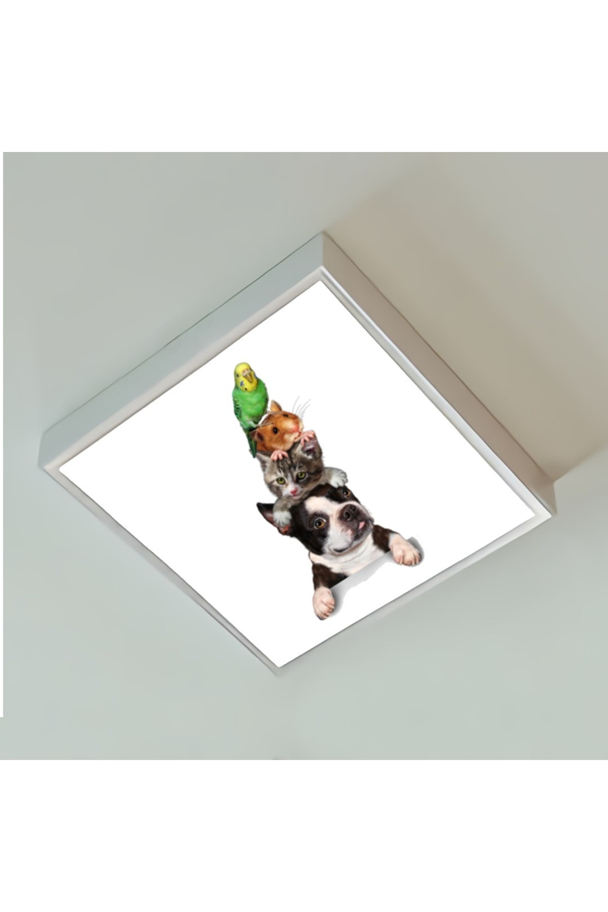 Dostlar 60x60 Çocuk odası avize modelleri, 54wat led, tavana model avize, çocuklar için dostlar avize - Görsel 2