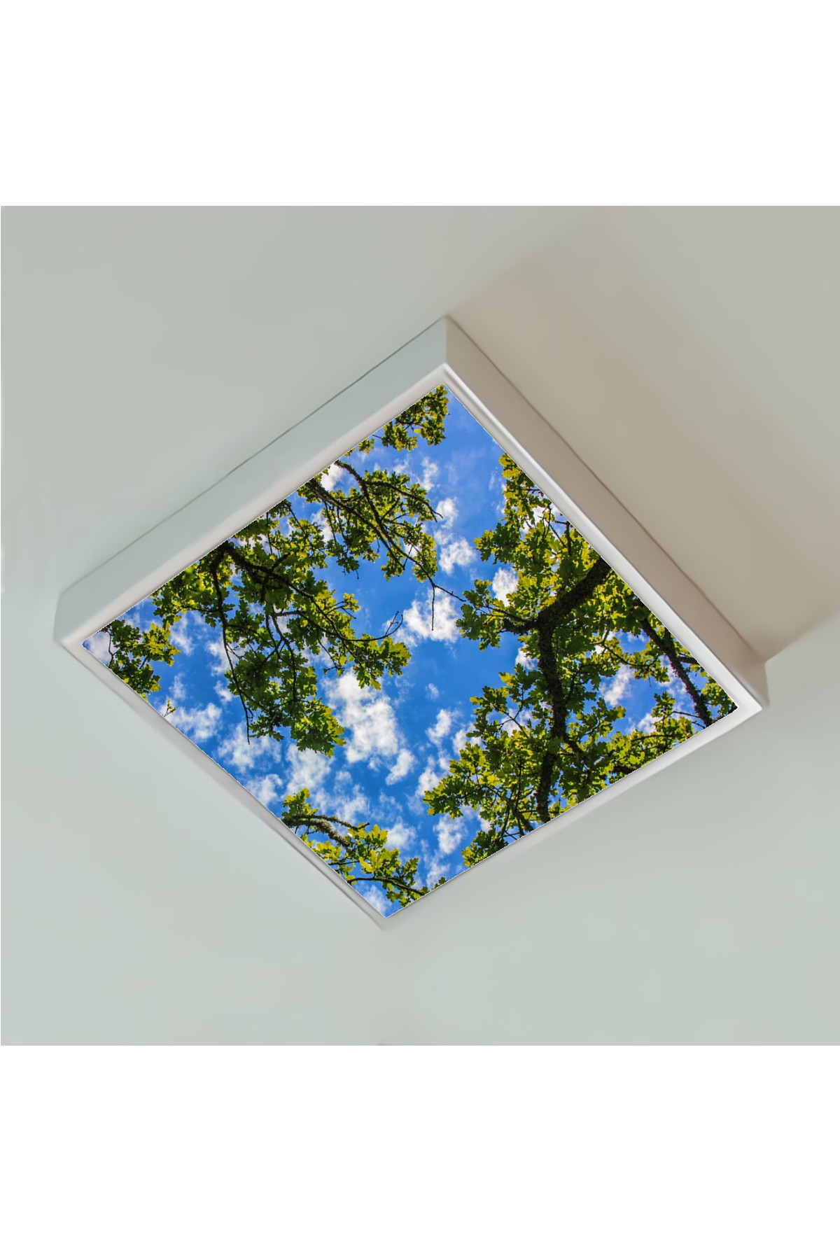 Çınarlı Gökyüzü , 60cmx60cm, 54 watt,led,en şık oturma odası avize modelleri, çınarlı gökyüzü desenli oturma odası lamba - Görsel 3