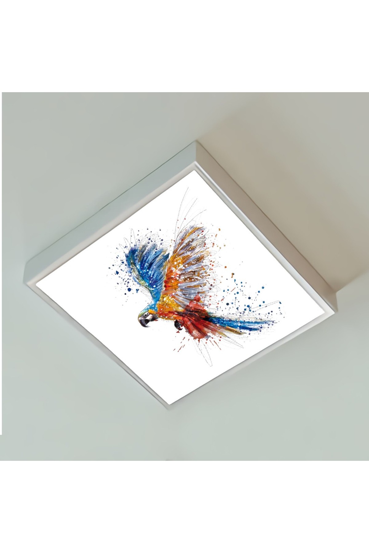 Renkli Papağan 60x60 Yatak Odası avize modelleri, 54wat led, tavana model avize, Yatak Odası kare avize - Görsel 3
