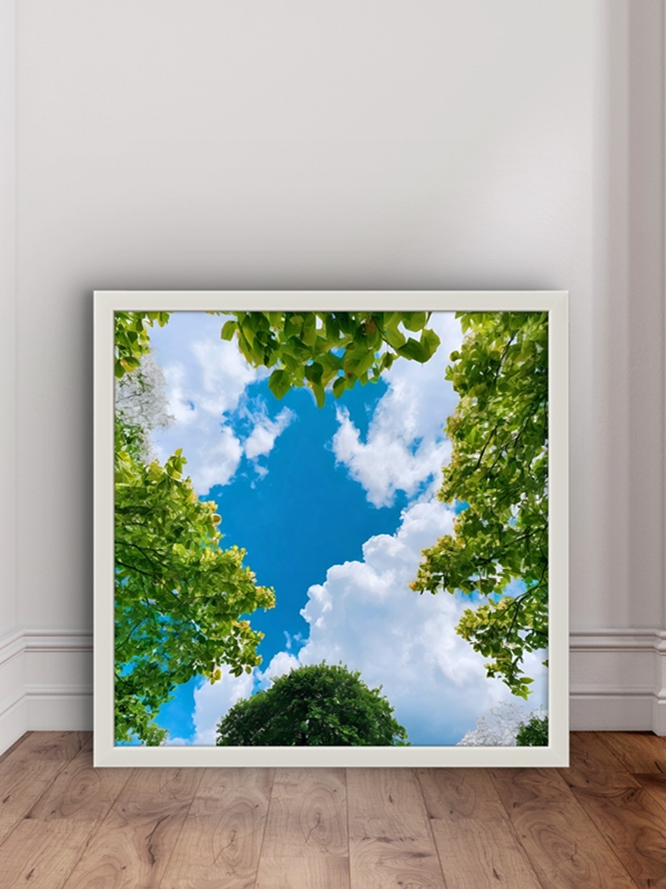 Doğanın izleri Led Tablo – 60x60 cm | Sıva Üstü Montajlı, Tak-Çalıştır Sistem, Arapuarlı