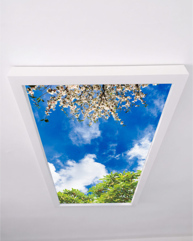 Gökyüzü Panel 60x120 106W, Sıva Üstü, Güçlü Led Aydınlatma, Beyaz Çiçekler, Tavan Armatürü, Led Panel